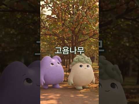 고욤나무에 담긴 추억 영상 미리보기